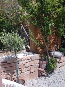 Terrasse arborée avec olivier et laurier rose dans une villa à Calvisson
