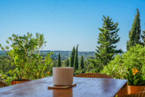 Vue panoramique depuis la terrasse principale
