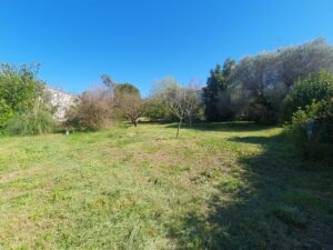 Grand jardin arboré avec possibilité de division du terrain, dans une villa à vendre à Clarensac