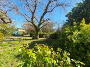 Grand jardin arboré avec possibilité de division du terrain, dans une villa à vendre à Clarensac