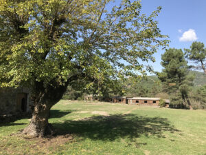 Jardin arboré avec vue dégagée autour de la maison à Bordezac