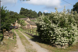 Vue dégagée sur le troisième terrain attenant à la maison à Bordezac