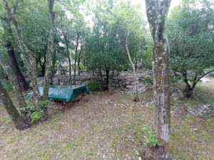 Vue dégagée sur le terrain arboré de la maison à vendre à Sauve
